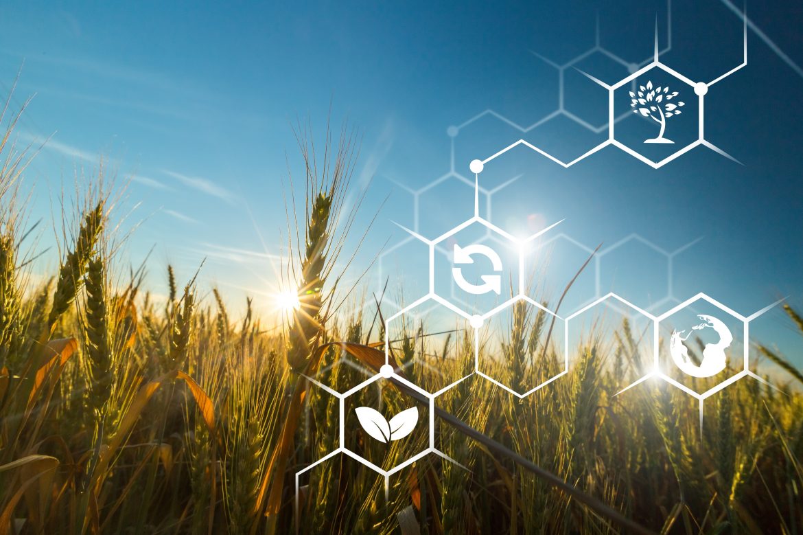 AgTech: Data Management for the Improvement of Agricultural Practices